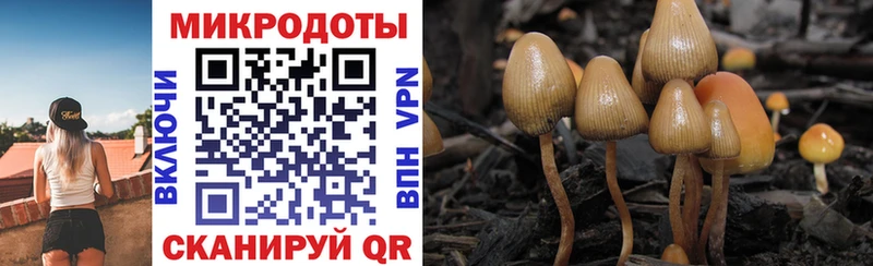 Псилоцибиновые грибы мухоморы  что такое наркотик  МЕГА зеркало  Тосно 