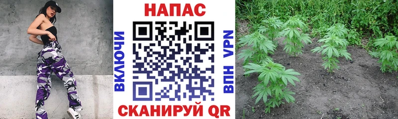 хочу наркоту МЕГА рабочий сайт Канабис Bruce Banner Тосно